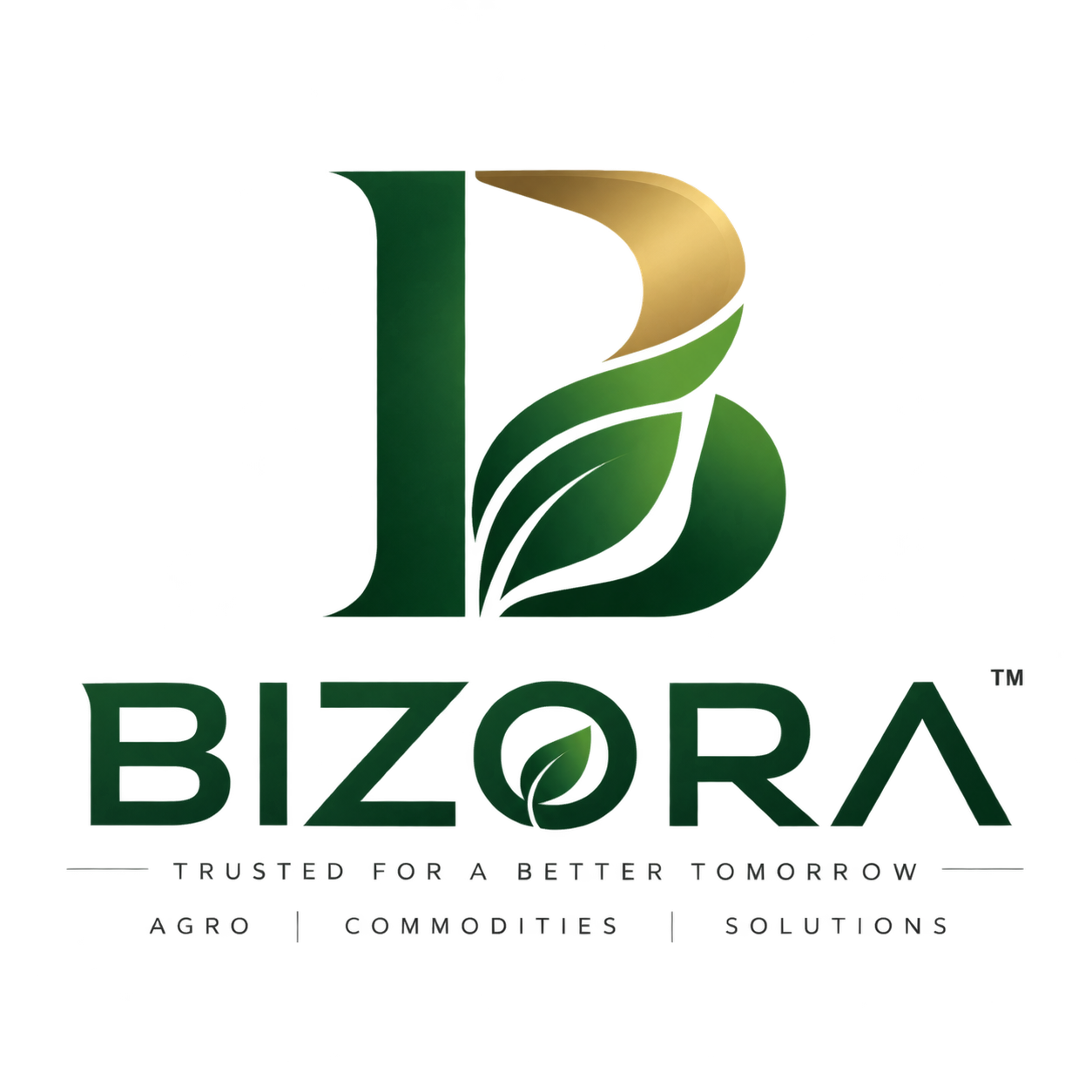 Bizora logo